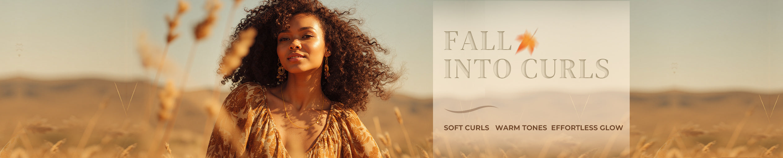 Curly Wig Collection Banner